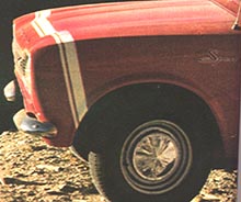 destripesport.jpg (19923 octets)