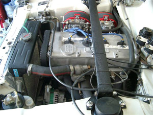 New_engine_in_FEV_003minia.jpg (40669 octets)